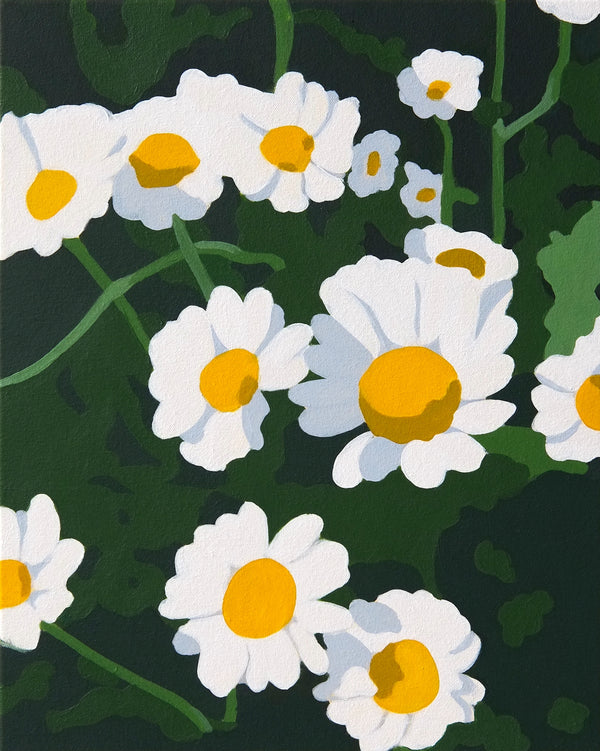 Dean De Landre, Daisy - Boom Gallery