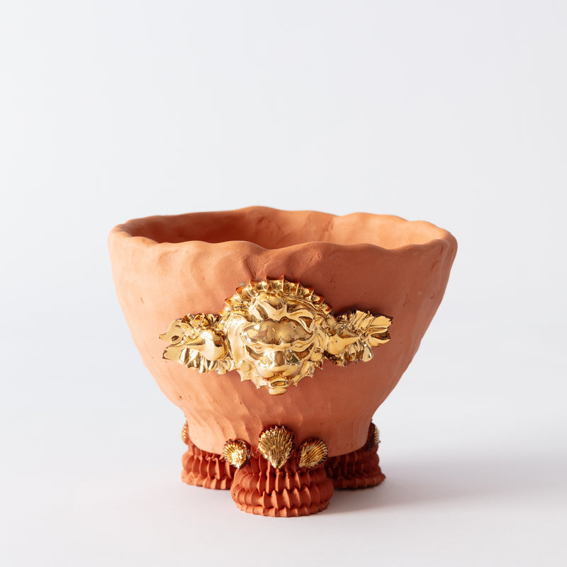 Lion Familiar Terracotta Pianto In Vaso