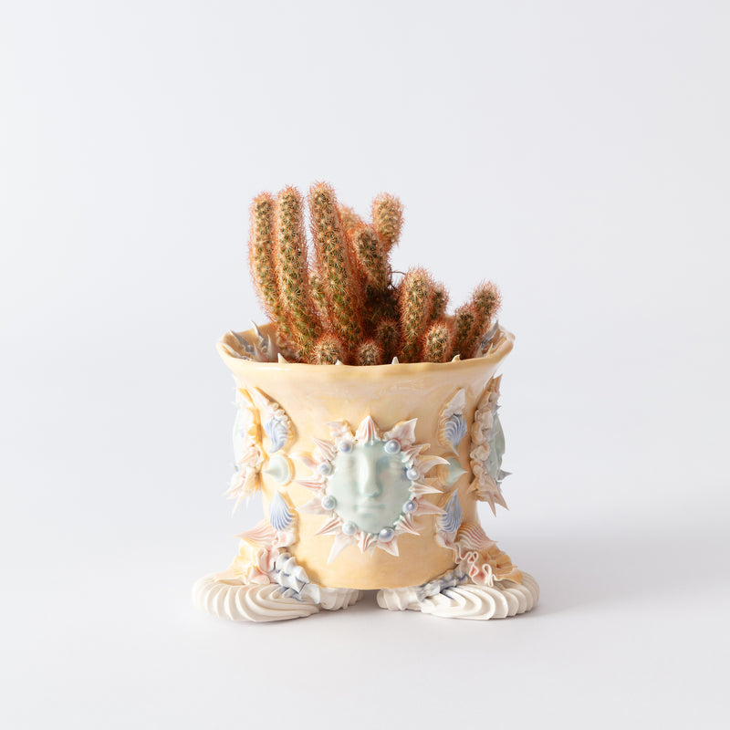 Sun God Pianto In Vaso