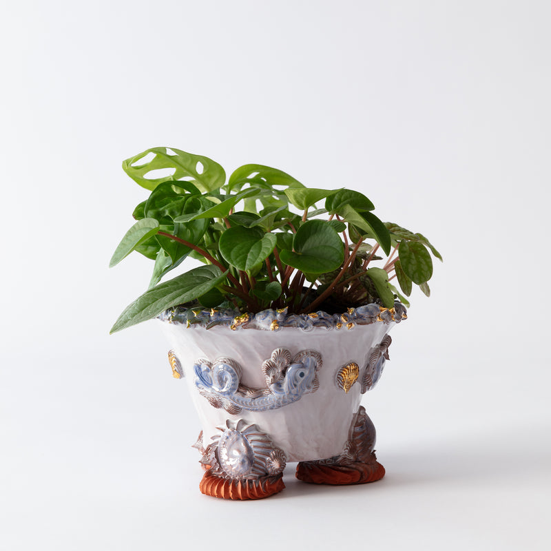 Oceanid Majolica Pianto In Vaso