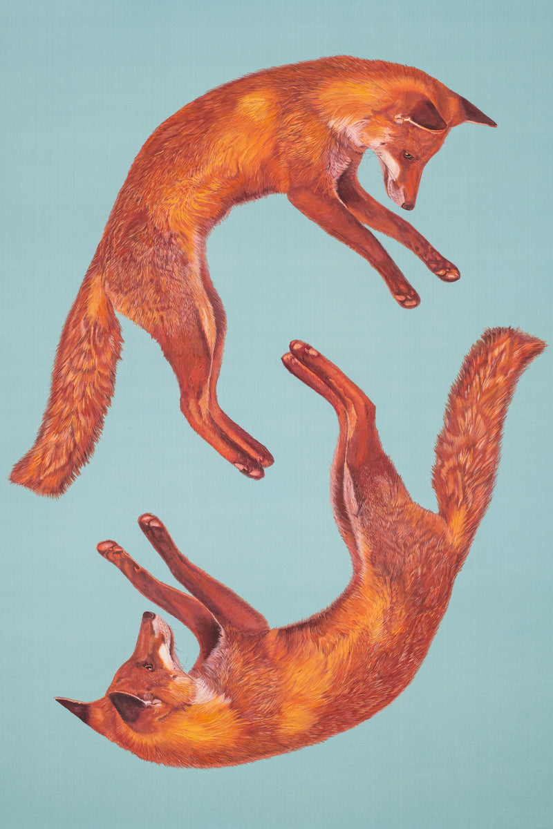 Study No. 2 (Foxes)