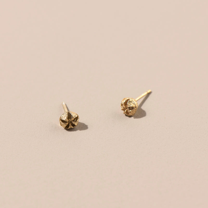 Tiny Manuka Studs (yellow gold)