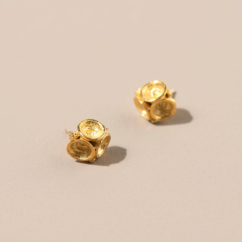 Trio Leucoxylon Studs (yellow gold)