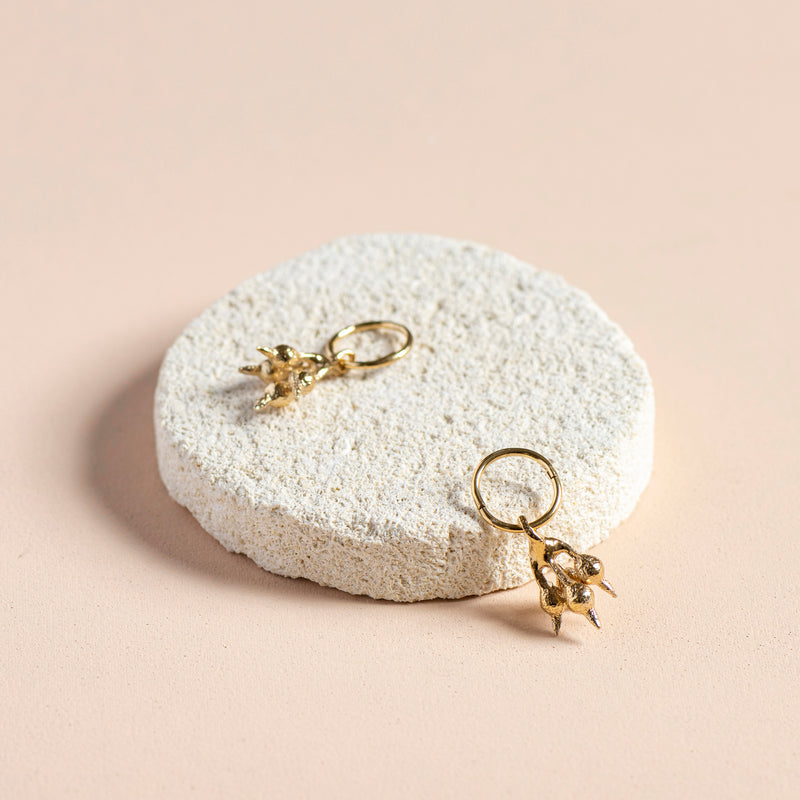 Birra Pod Sleeper Earrings (yellow gold)