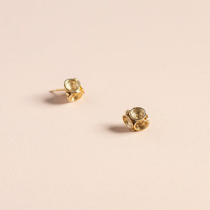 Trio Leucoxylon Studs (yellow gold)