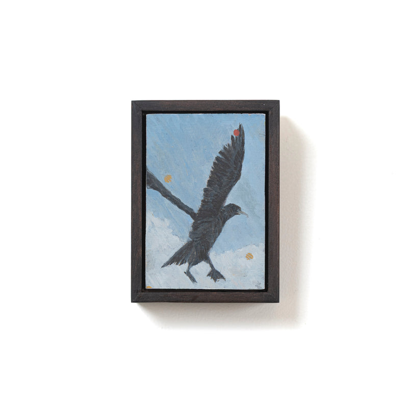 Cormorant Of Hideaway