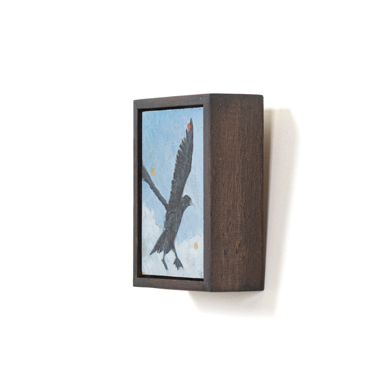 Cormorant Of Hideaway