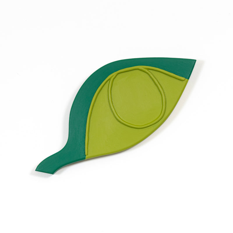 Tracing The Shape Of The Leaf