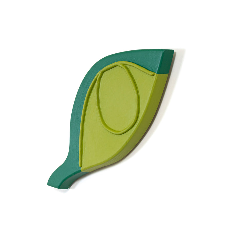 Tracing The Shape Of The Leaf