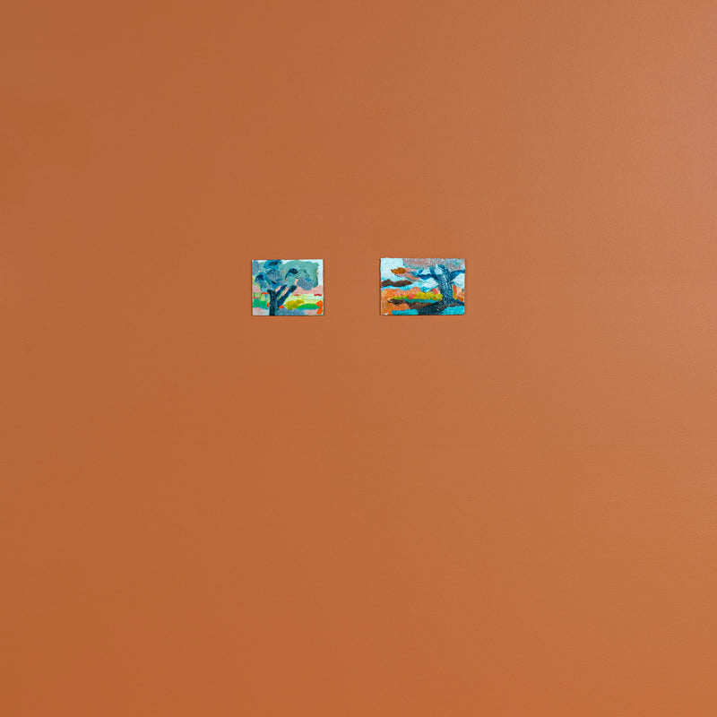 Afternoon In Meredith