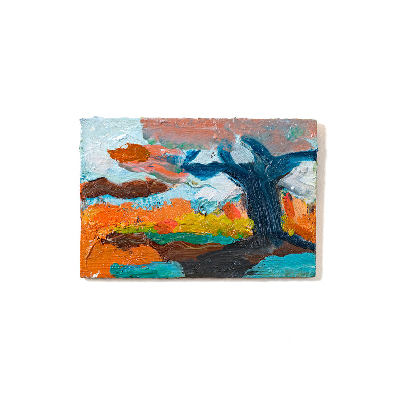 Afternoon In Meredith