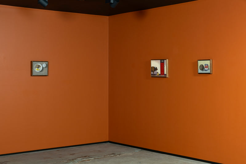 My Memories Are Middle Aged Too