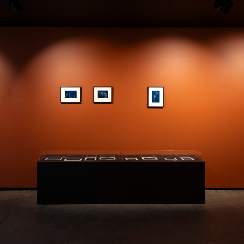 Tonight I Will Burn Again