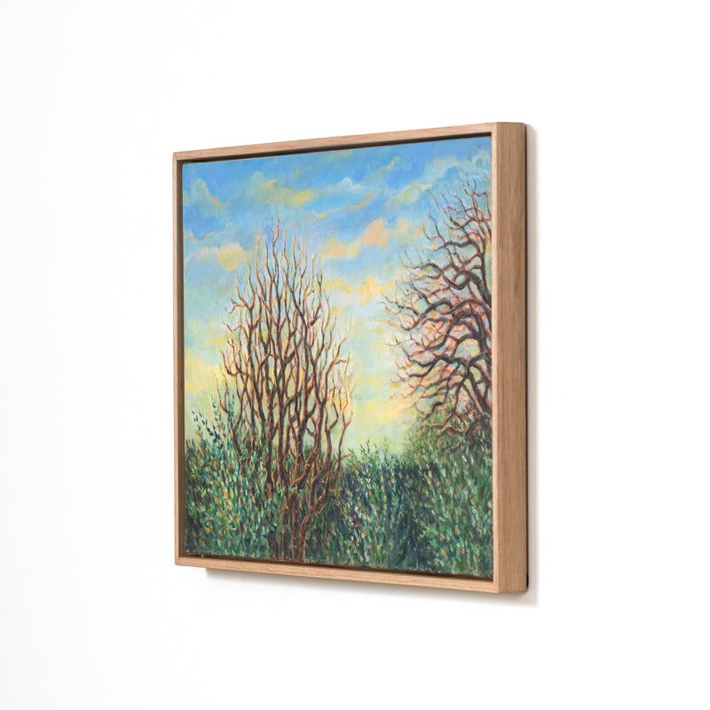 Mulberry, Olives And Plum Tree With Cypress Hedge