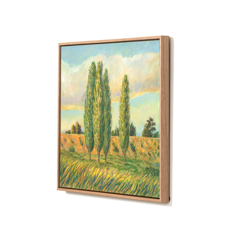 Railway Embankment With Poplars