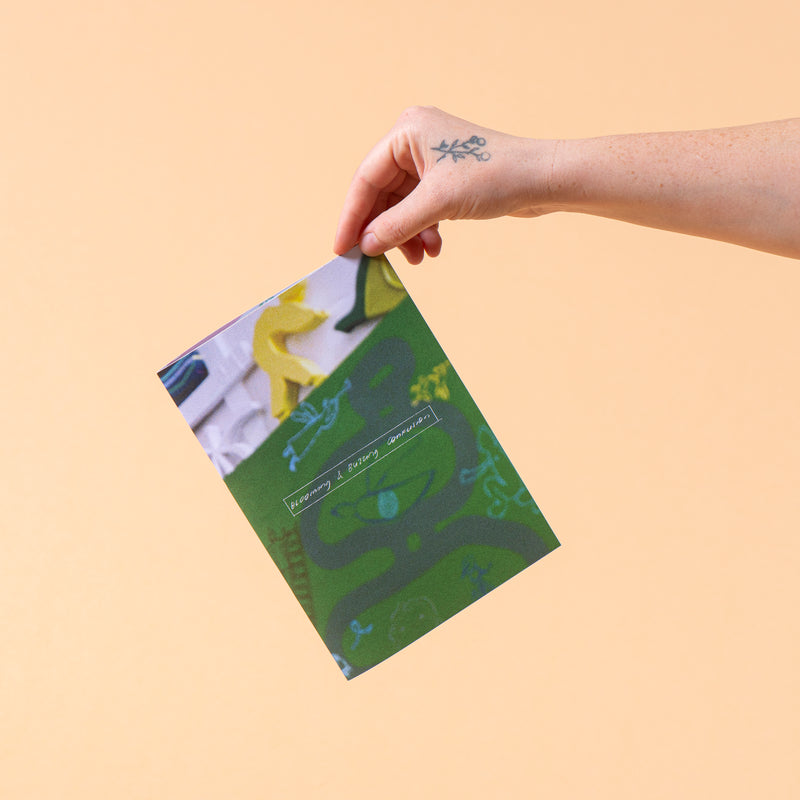 Blooming + Buzzing Confusion Zine