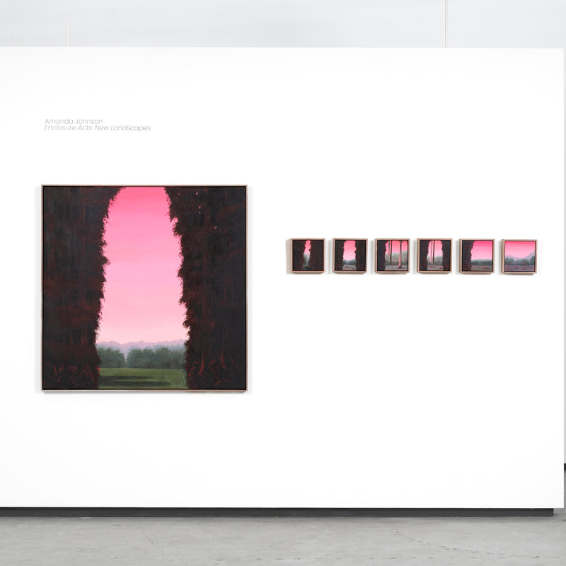 Still, Forest: Remnant Blush, Otways (1)