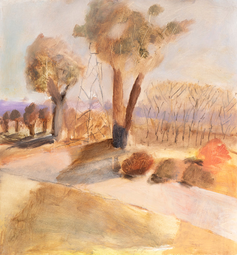 Sun After Rain, Toolamba, Goulburn Valley, Victoria