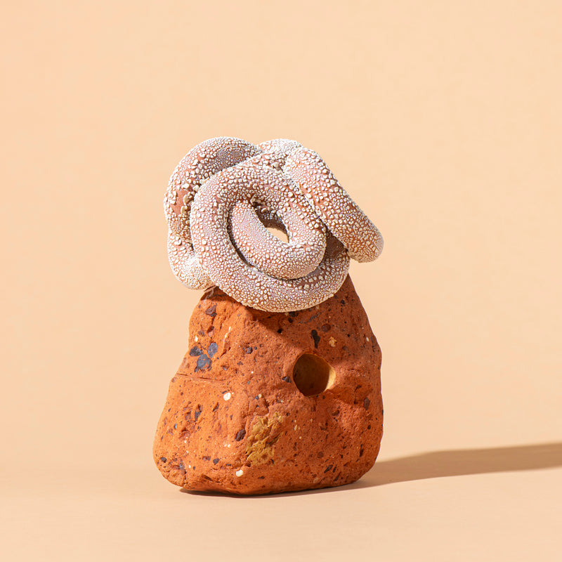 Whirlpool Sentinel