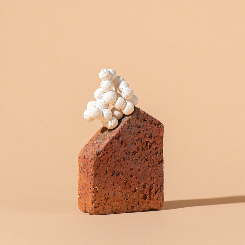 Rock Shelf Beacon