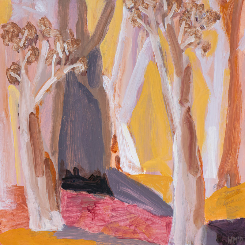 Forest Light And Dark