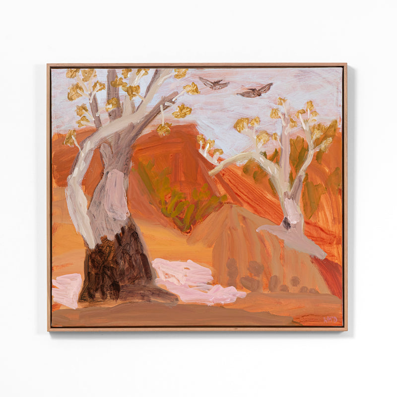 Grandmother Trees With Pelicans – Hattah Kulkyne National Park