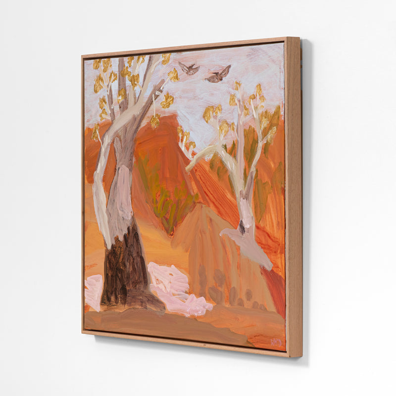 Grandmother Trees With Pelicans – Hattah Kulkyne National Park