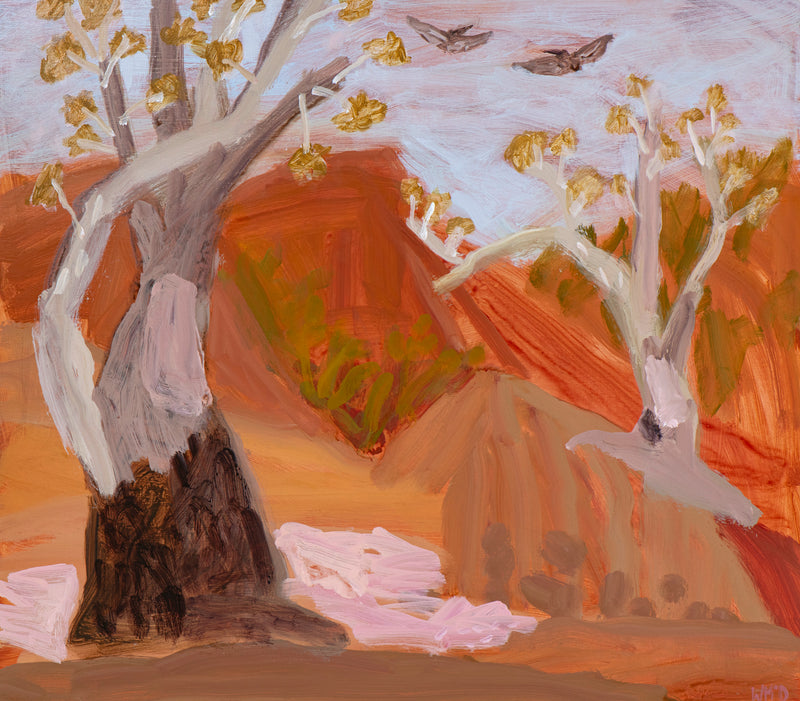Grandmother Trees With Pelicans – Hattah Kulkyne National Park