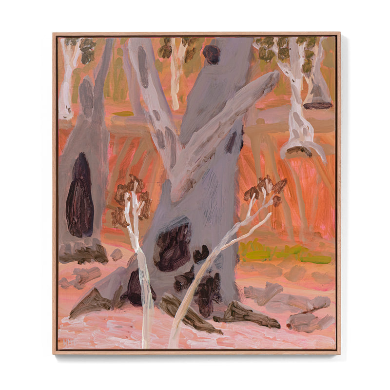 Habitat Trees – Barbers Creek