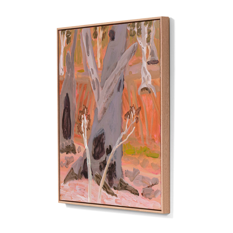 Habitat Trees – Barbers Creek