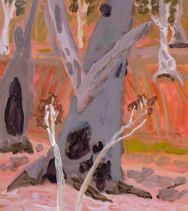 Habitat Trees – Barbers Creek