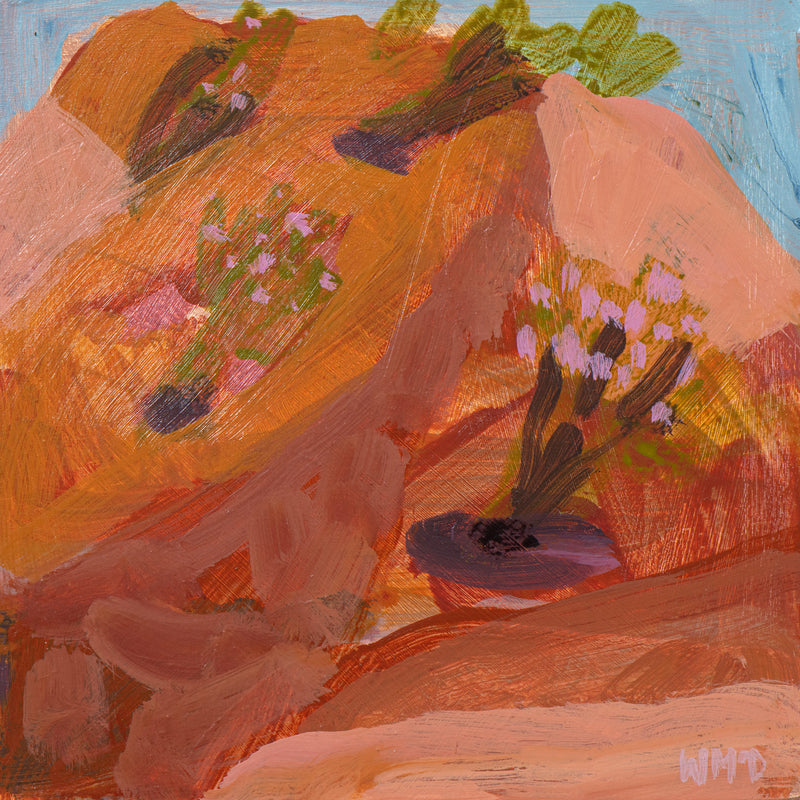 Windy Afternoon With Hopbush - Hattah