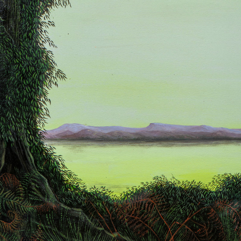 New Gloveresque: Pieman River Run-off, Rosebery, Takayna