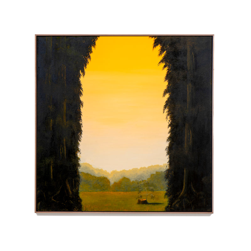 Golden Florentine With Epicormic, Lutruwita