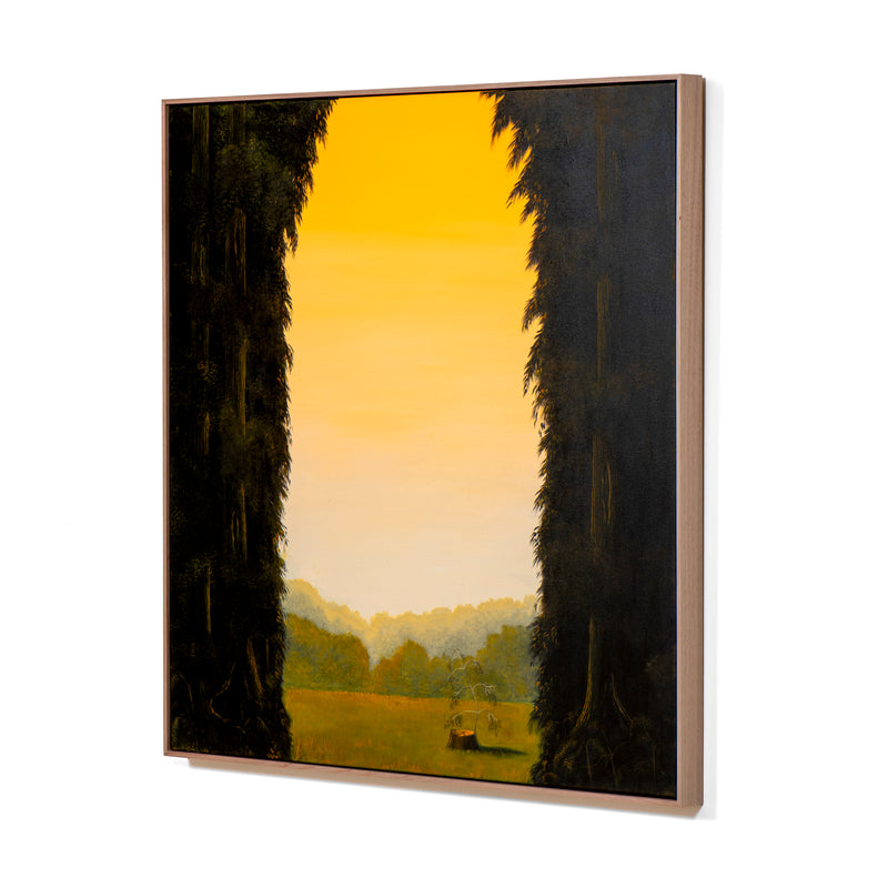 Golden Florentine With Epicormic, Lutruwita