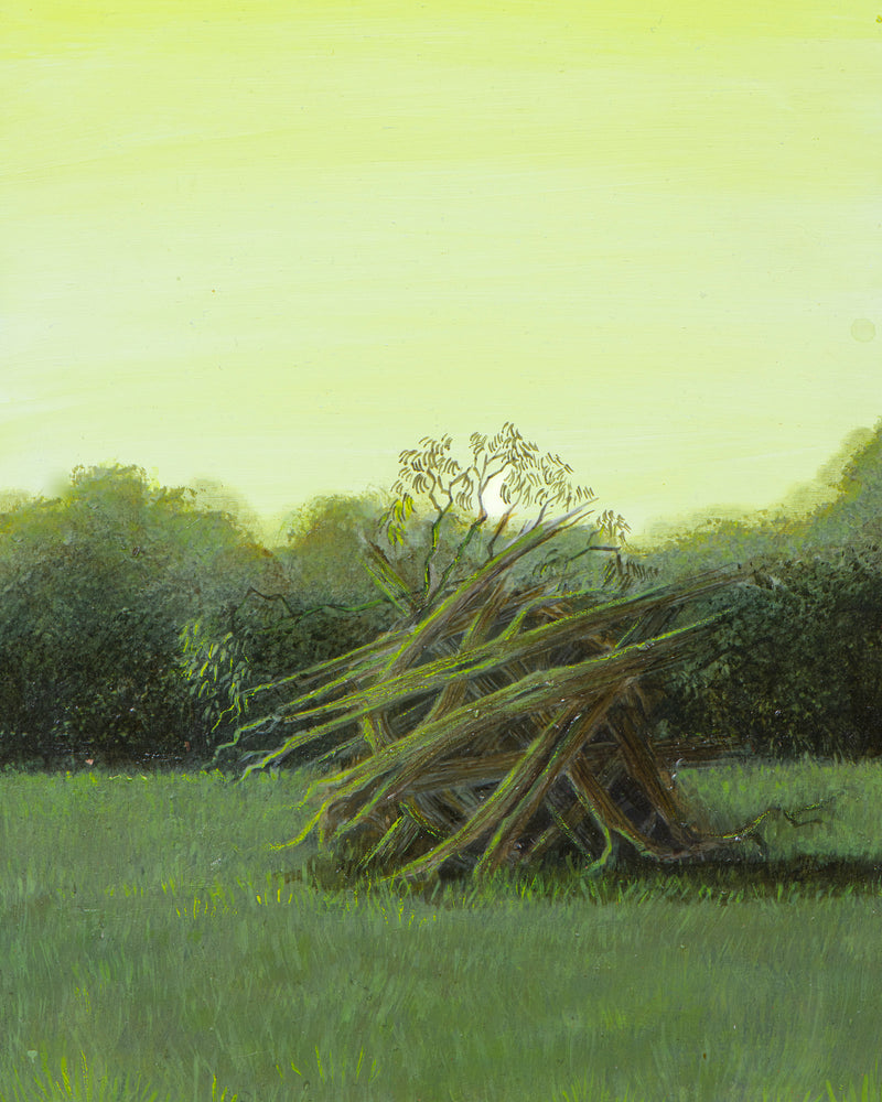 Quiet Clearing: Bonfire, Otways