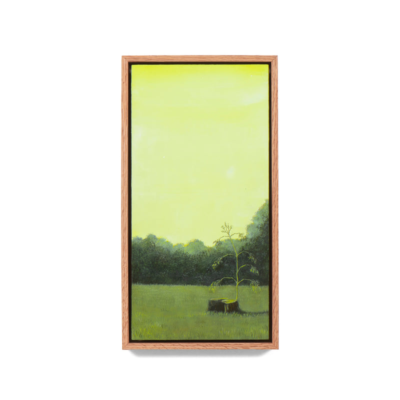 Quiet Clearing: Epicormic, Otways