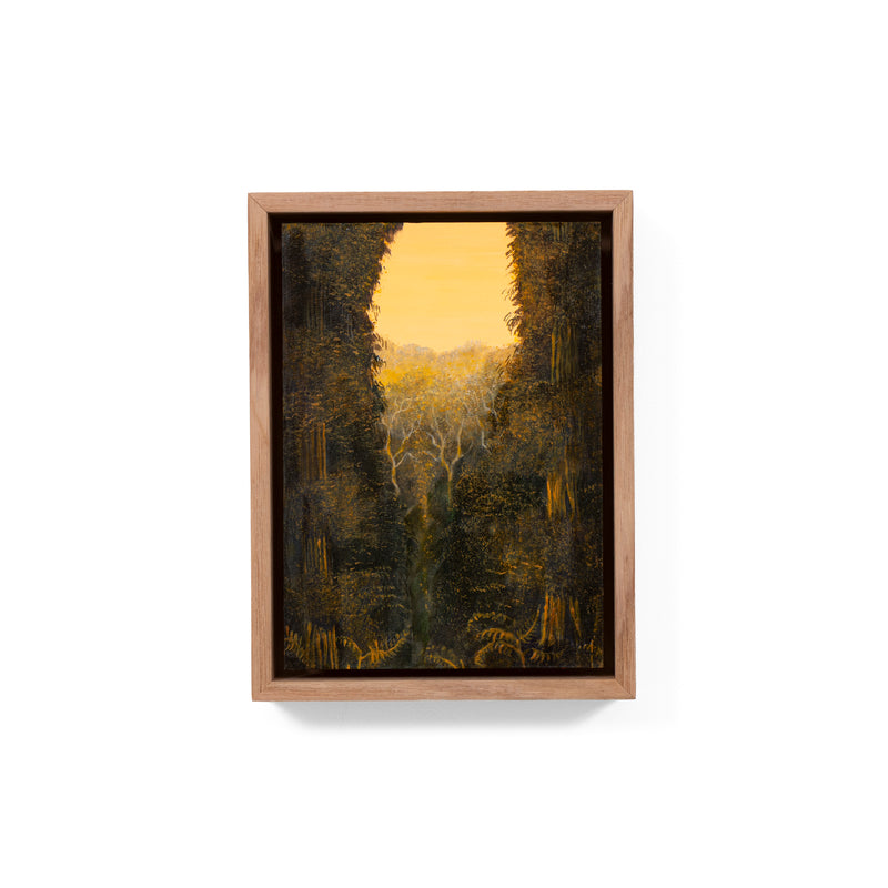Still, Forest: Remnant Gold, Florentine Valley (1)