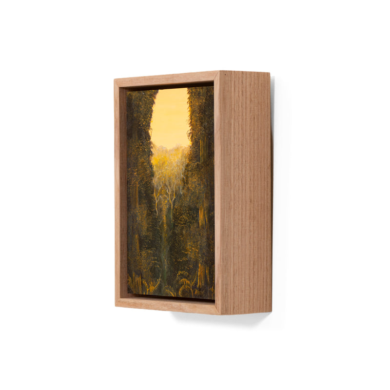 Still, Forest: Remnant Gold, Florentine Valley (1)