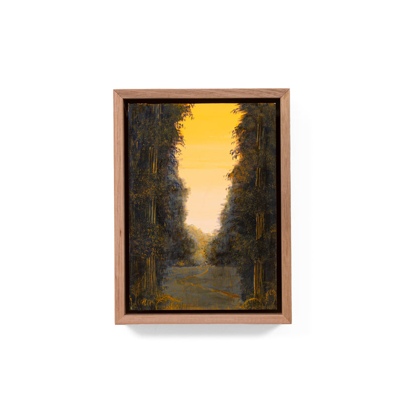 Still, Forest: Remnant Gold, Florentine Valley (2)
