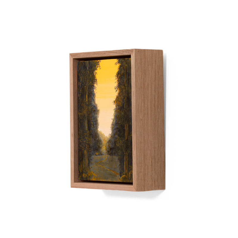 Still, Forest: Remnant Gold, Florentine Valley (2)
