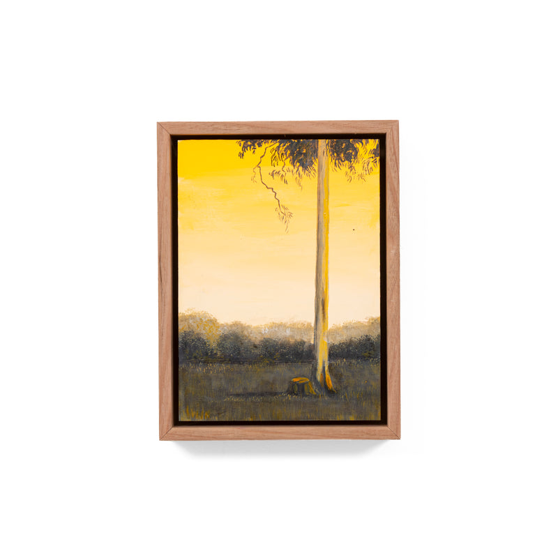Still, Forest: Remnant Gold, Florentine Valley (4)