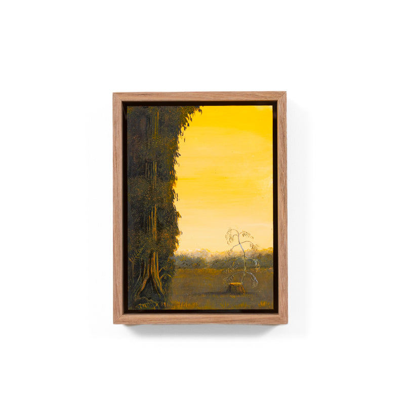 Still, Forest: Remnant Gold, Florentine Valley (3)