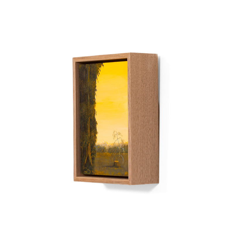 Still, Forest: Remnant Gold, Florentine Valley (3)