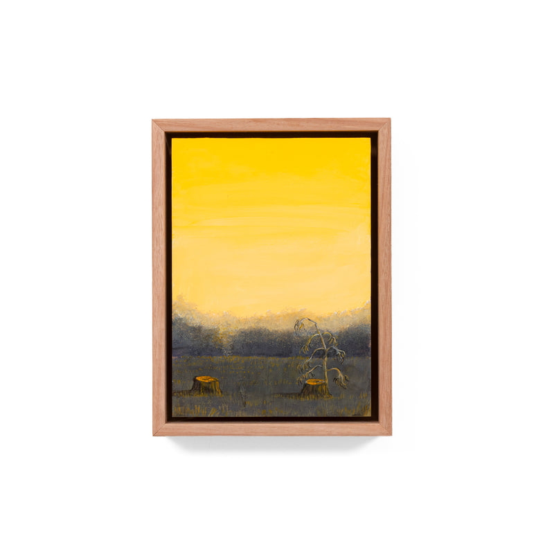 Still, Forest: Remnant Gold, Florentine Valley (5)