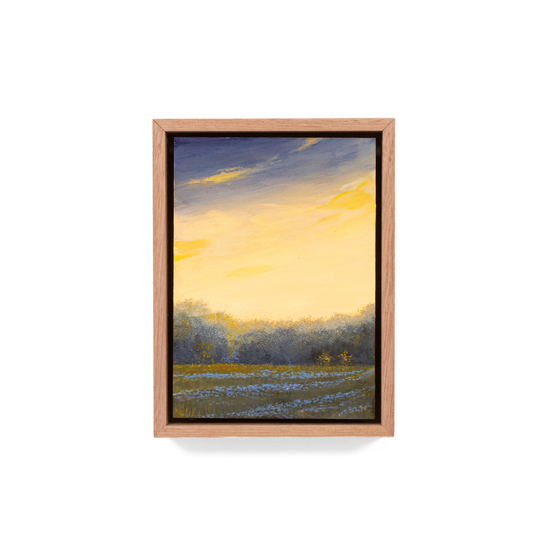 Still, Forest: Remnant Gold, Florentine Valley (6)