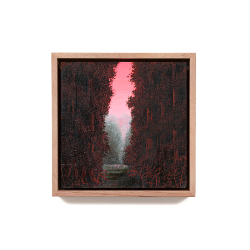 Still, Forest: Remnant Blush, Otways (1)