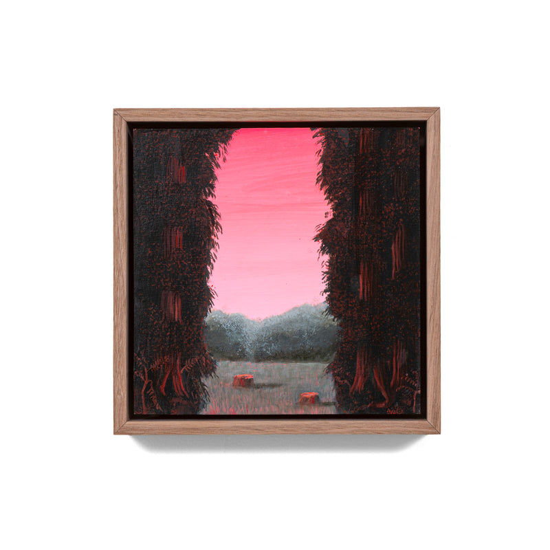 Still, Forest: Remnant Blush, Otways (2)