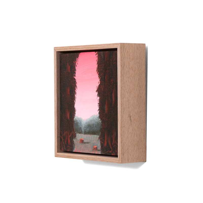 Still, Forest: Remnant Blush, Otways (2)