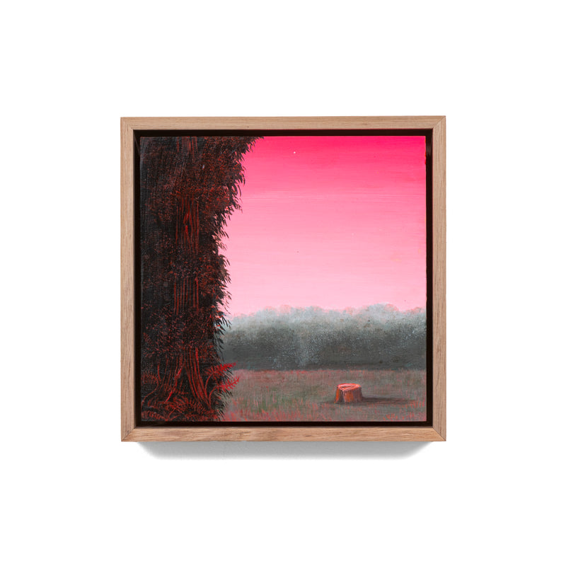 Still, Forest: Remnant Blush, Otways (5)